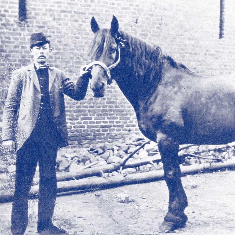 Kleine Spedition GmbH | Company